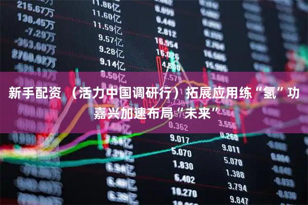 新手配资 （活力中国调研行）拓展应用练“氢”功 嘉兴加速布局“未来”