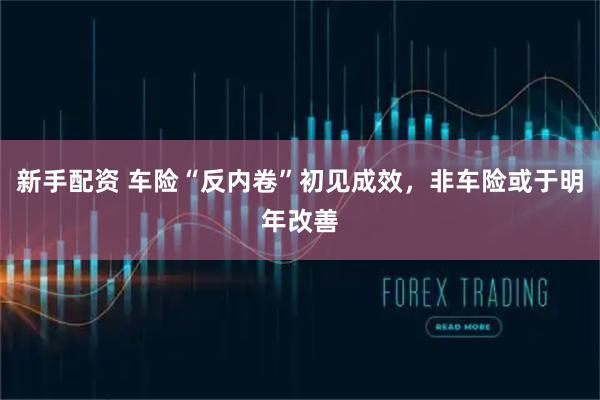 新手配资 车险“反内卷”初见成效，非车险或于明年改善