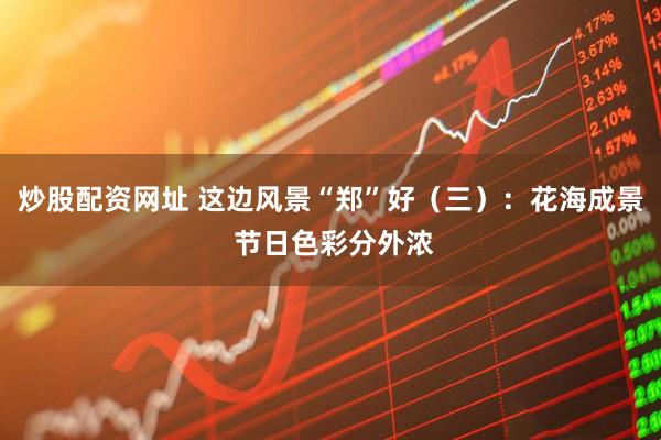 炒股配资网址 这边风景“郑”好（三）：花海成景 节日色彩分外浓